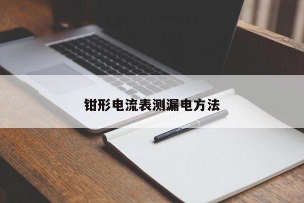 钳形电流表测漏电 *** 