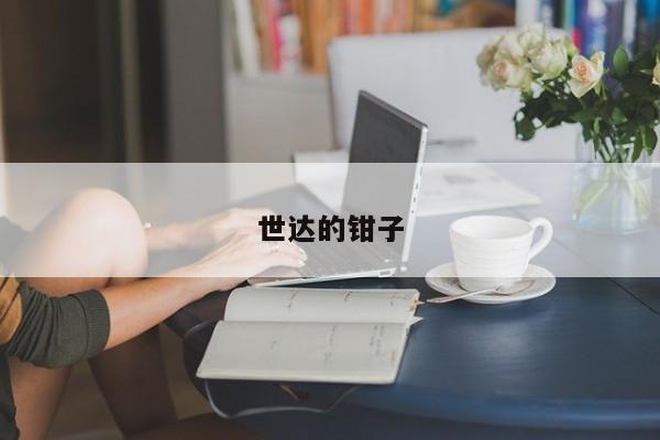 世达的钳子
