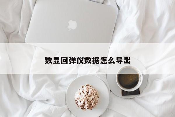 数显回弹仪数据怎么导出