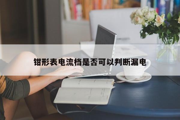 钳形表电流档是否可以判断漏电