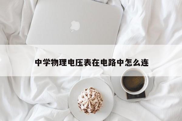 中学物理电压表在电路中怎么连
