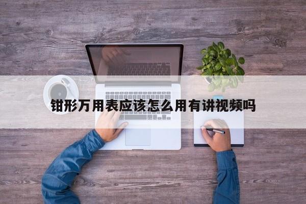 钳形万用表应该怎么用有讲视频吗