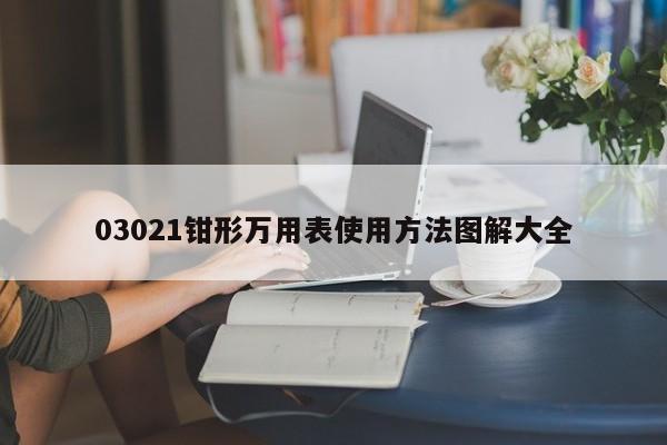 03021钳形万用表使用 *** 图解大全