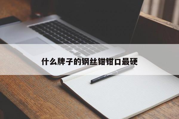 什么牌子的钢丝钳钳口最硬