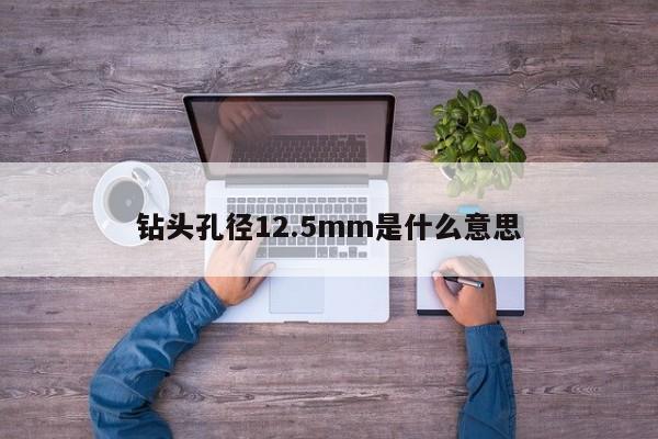 钻头孔径12.5mm是什么意思