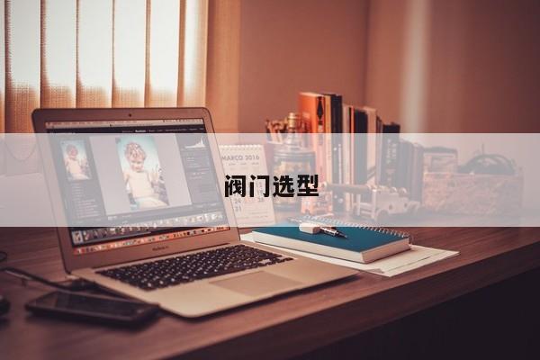 阀门选型