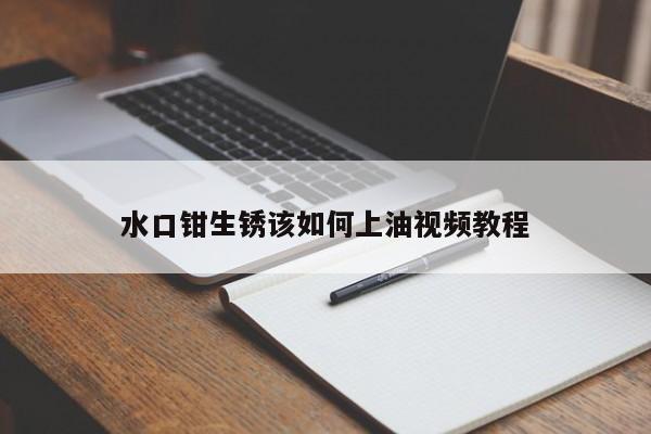 水口钳生锈该如何上油视频教程