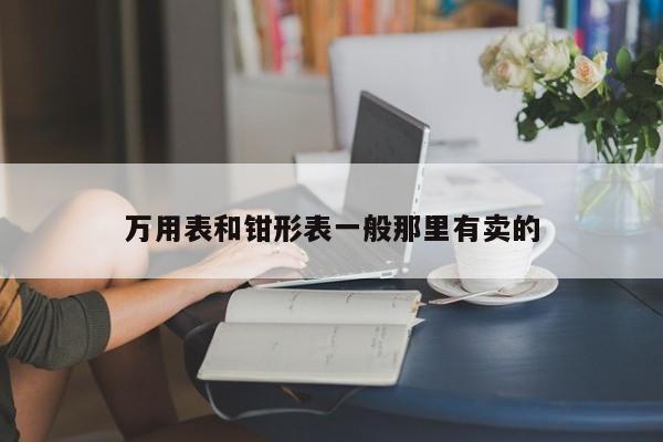 万用表和钳形表一般那里有卖的