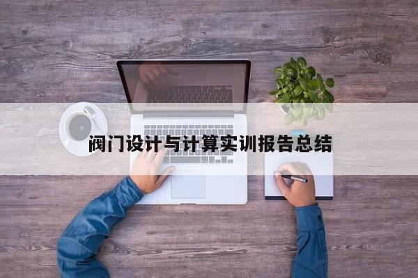 阀门设计与计算实训报告总结