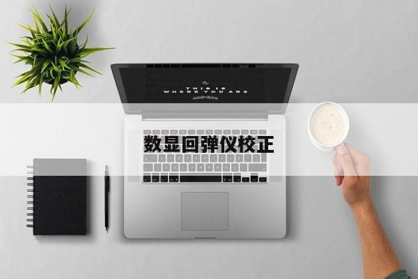 数显回弹仪校正