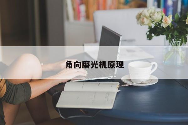 角向磨光机原理
