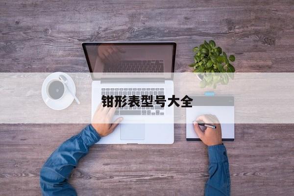 钳形表型号大全